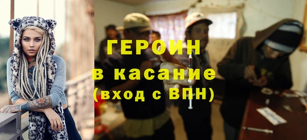 прущие грибы Вуктыл