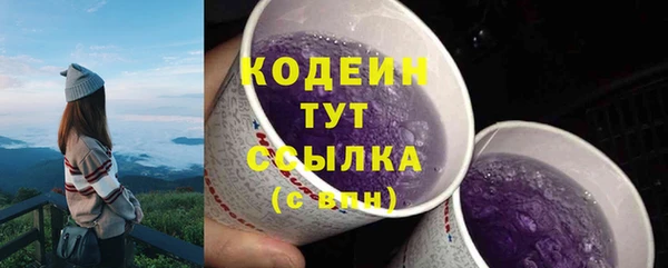 ешки Пересвет