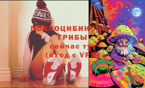 ешки Пересвет