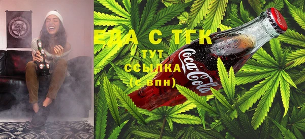 прущие грибы Вуктыл