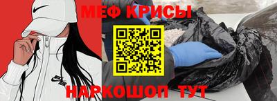 индика Гатчина