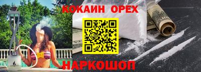 индика Гатчина