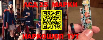 индика Гатчина