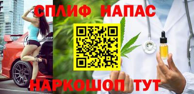 стафф Гай