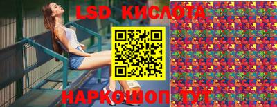 индика Гатчина