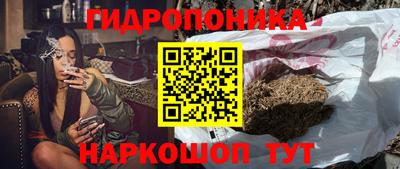 стафф Гай