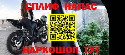 индика Гатчина