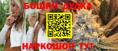 индика Гатчина