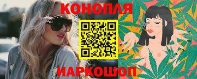 индика Гатчина
