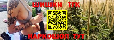 стафф Гай