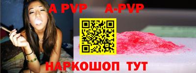 стафф Гай