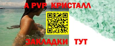 стафф Гай