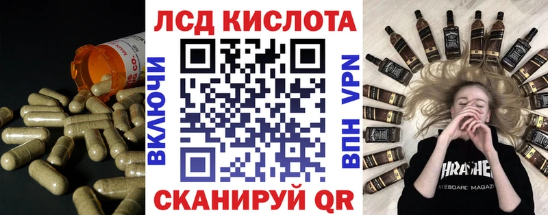 как найти наркотики kraken ТОР Лсд 25 экстази кислота Богданович