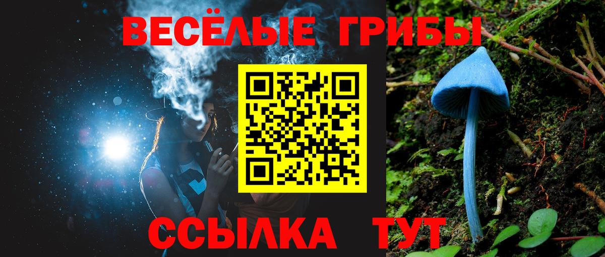 Богданович  Псилоцибиновые грибы MAGIC MUSHROOMS  Вход с VPN 