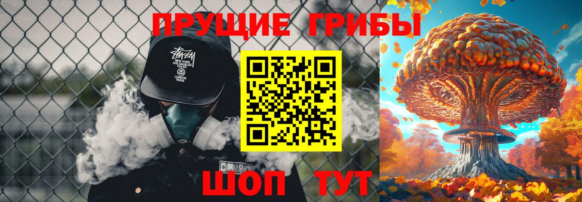Богданович  наркота  Вход с VPN  Псилоцибиновые грибы мухоморы 