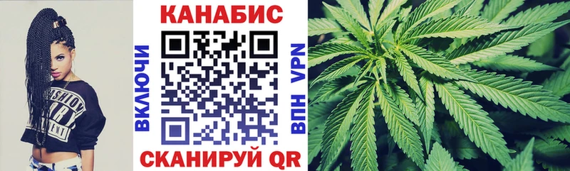 сколько стоит  Богданович  Каннабис конопля 