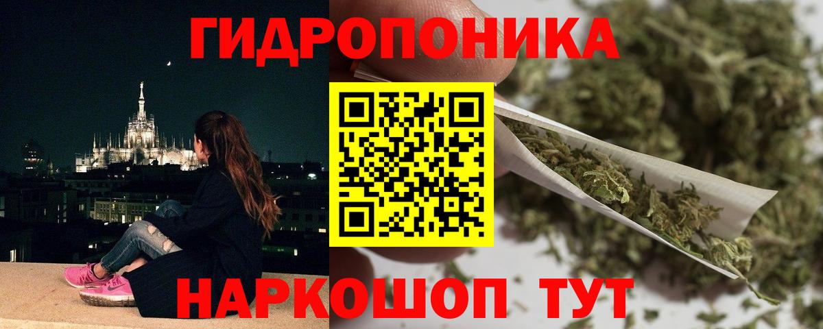 Канабис OG Kush Богданович